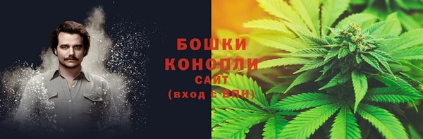 трава Вязьма