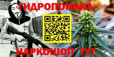 PSILOCYBIN Балашиха