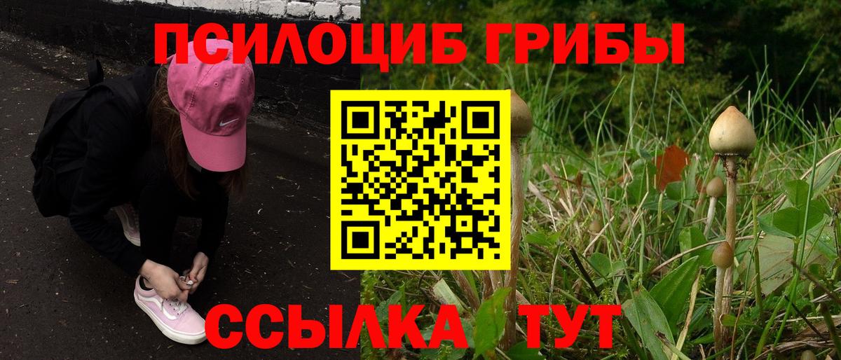 Псилоцибиновые грибы мицелий Гуково