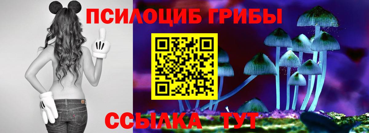 купить наркотики сайты  Галлюциногенные грибы ЛСД  Вход с VPN  Гуково 