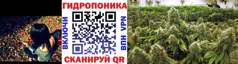 Канабис White Widow  кракен онион  Гуково  где найти  